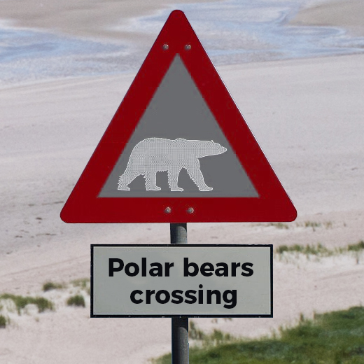 Polar bears crossing - website relaunch - umbraco - Teaser Polar bears crossing - website relaunch - umbraco - Teaser
