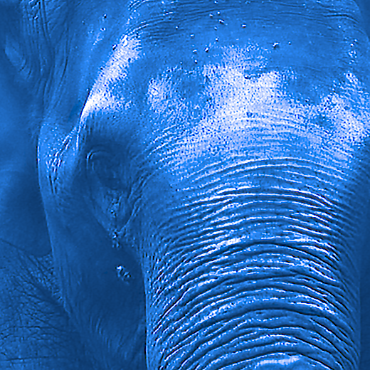 V4all- postgresSQL migration V4all- postgresSQL migration